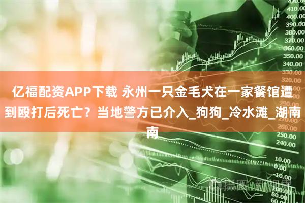 亿福配资APP下载 永州一只金毛犬在一家餐馆遭到殴打后死亡？当地警方已介入_狗狗_冷水滩_湖南