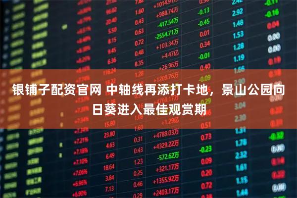 银铺子配资官网 中轴线再添打卡地，景山公园向日葵进入最佳观赏期